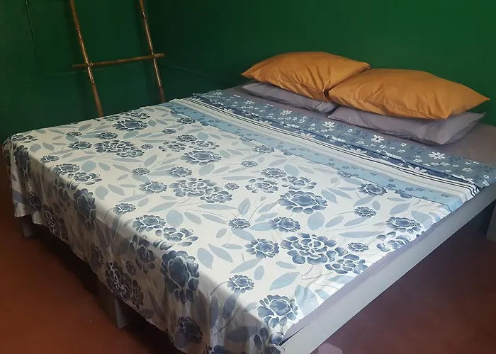 게스트하우스 Easy Nap Moalboal